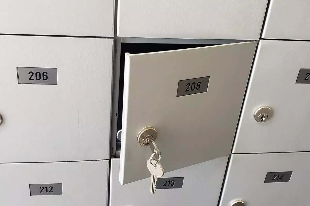Black cat lock and key - Mailbox Lock Services in Calgary