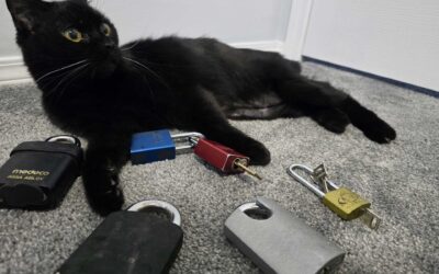 Not all padlocks are created equally
