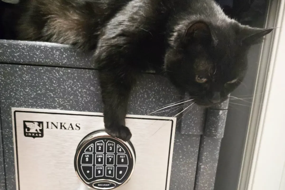 black cat lock and key safes locksmith services in Calgary