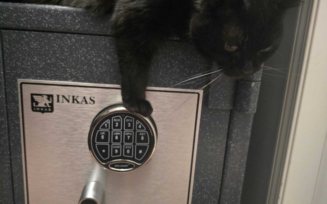 featuredimage-Tool-Rated Safes vs Fireproof Safes-Which One Do You Need
